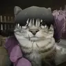Teshi