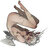BlackMiseryDove